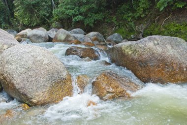 doğal olarak gelişmemiş nehir bentong, pahang, Malezya