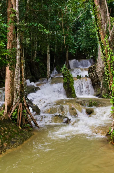 Rio selvagem na floresta verde — Fotografia de Stock