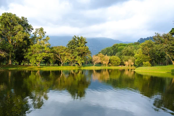 Jardín del lago Taiping al atardecer, Taiping, Malasia — Foto de Stock