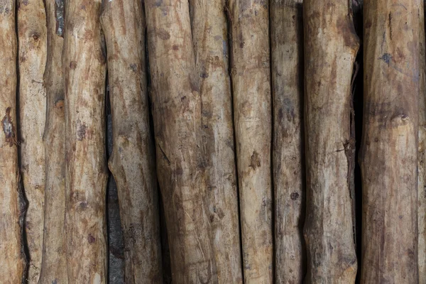 Şirin mangrov ağaç kömür Fabrikası'nda