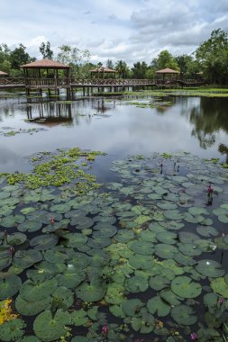 Taman Rekreasi Tasik Melati, Perlis, Malezya -