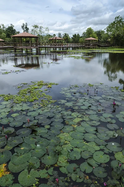Taman Rekreasi Tasik Melati, Perlis, Malaysia - — Stock Photo, Image