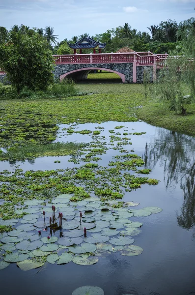 Taman rekreasi tasik melati, perlis, malaysien - — Stockfoto