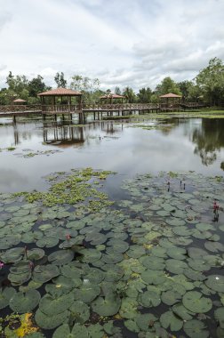 Taman Rekreasi Tasik Melati, Perlis, Malezya