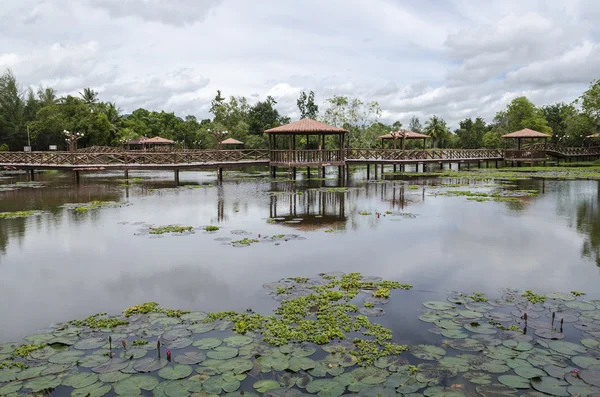 Taman Rekreasi Tasik Melati, Perlis, Malajsie — Stock fotografie