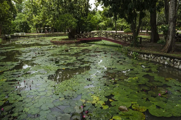 Taman Rekreasi Tasik Melati, Perlis, Malaysia — Stock Photo, Image