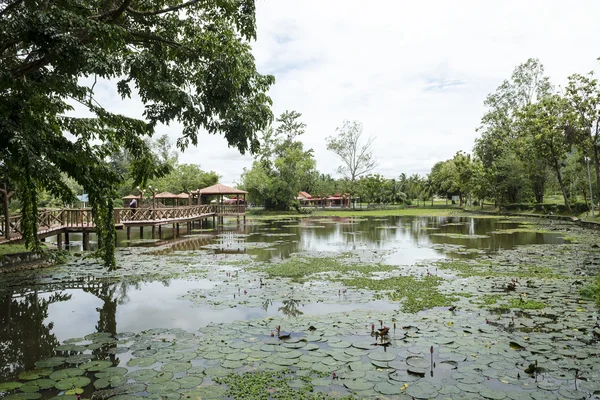 Taman Rekreasi Tasik Melati, Perlis, Malajsie — Stock fotografie