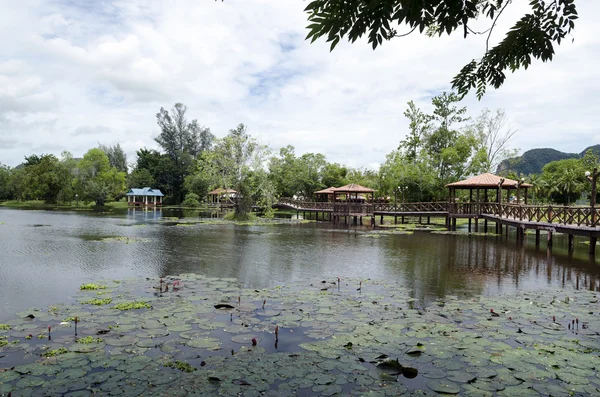 Taman Rekreasi Tasik Melati, Perlis, Malaysia — Stock Photo, Image