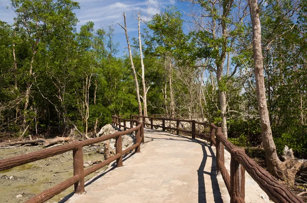 Loopbrug tussen mangrove op Tua Pek Kong Temple, Azië, Maleisië — Stockfoto