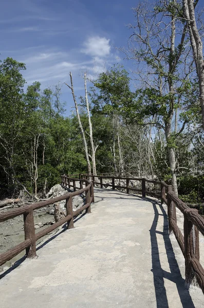 Passerelle entre la mangrove au temple Tua Pek Kong, Sitiawan, Malaisie — Photo