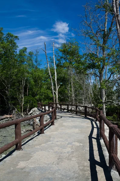 Walkway between mangrove at Tua Pek Kong Temple, Sitiawan, Malaysia — стоковое фото