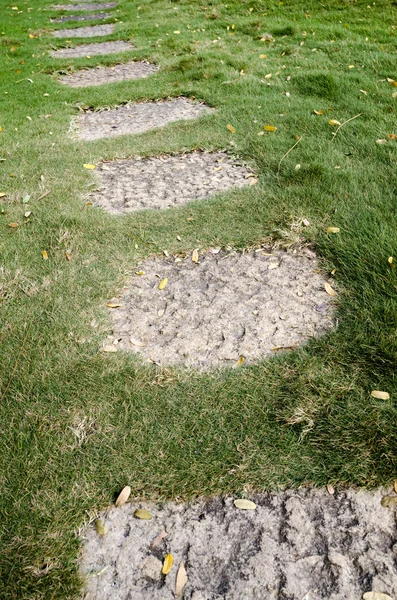 Stenen pad op groen gras — Stockfoto