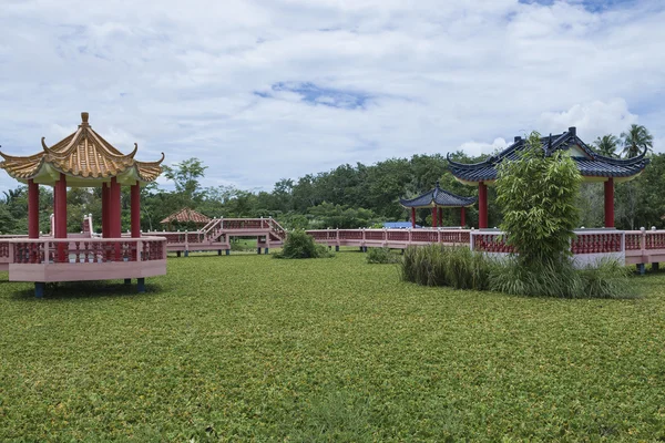 Taman Rekreasi Tasik Melati, Perlis, Malaezia — Fotografie, imagine de stoc