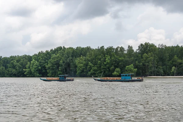 Kuala Sepetang, Malaysia-5 Apr, 2015: en båtar med skurna mangrove träd tillbaka till fabrik för träkol bränningen i Kuala Sepetang, Perak, Malaysia. — Stockfoto