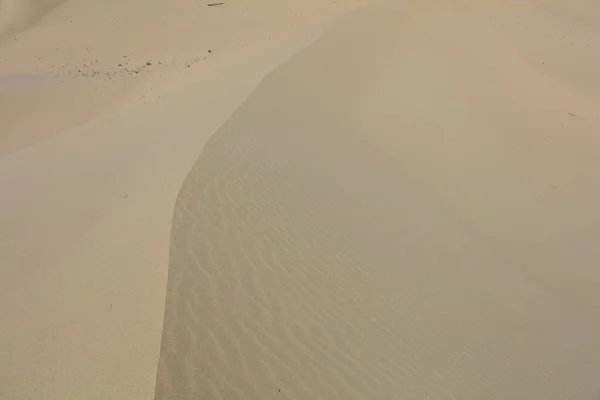 Пустыня Сенек Западный Казахстан Мангистауское Плато — стоковое фото
