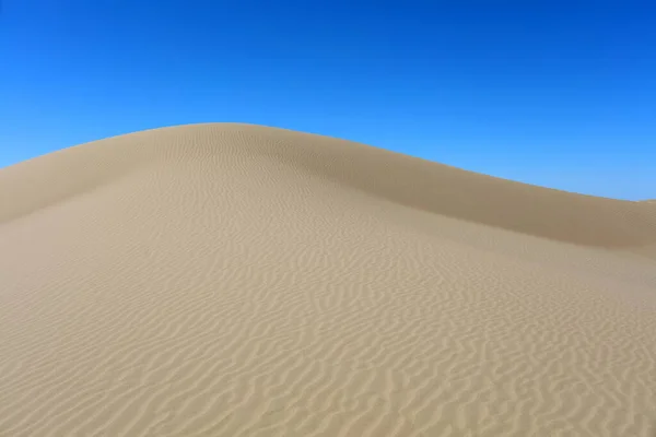 Senek Desert West Kazakhstan Mangistau Plateau Ліцензійні Стокові Зображення