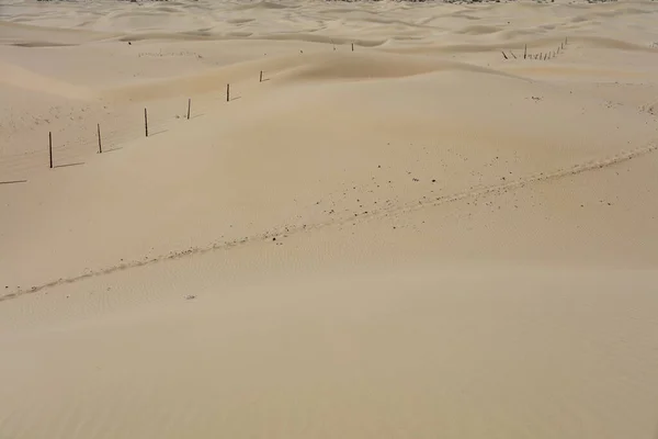 Senek Desert West Kazakhstan Mangistau Plateau Стокова Картинка