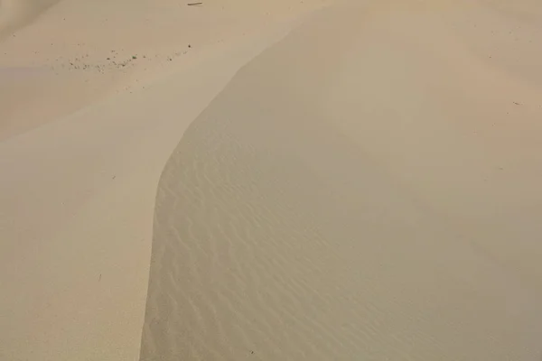 Senek Desert Δυτικό Καζακστάν Οροπέδιο Mangistau Εικόνα Αρχείου