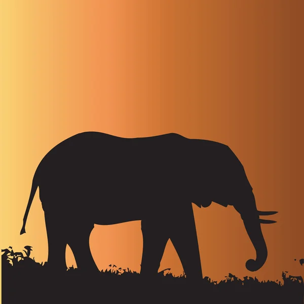 Animales de África ilustración — Vector de stock