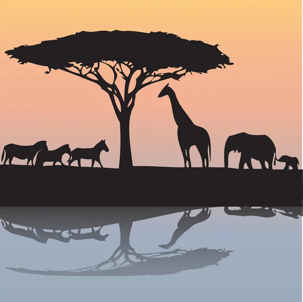 Animaux d'Afrique- illustration — Image vectorielle