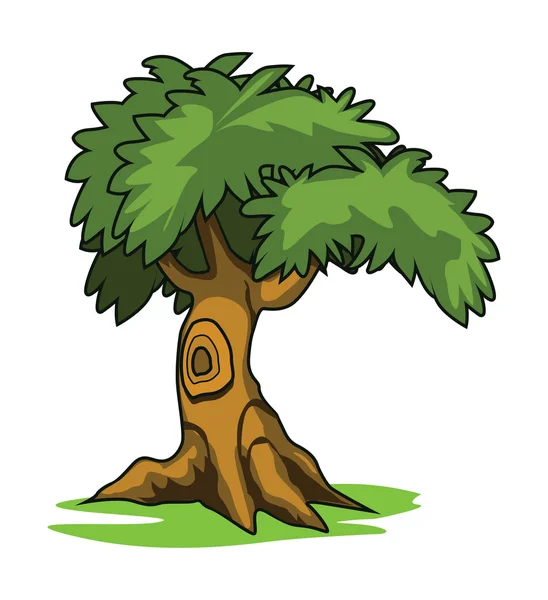 Illustration von drei von Cartoons gezeichneten Bäumen — Stockvektor