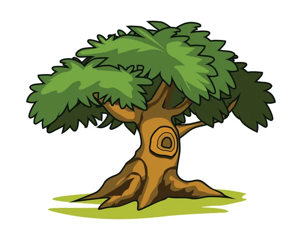 Illustration of three cartoon drawn trees — Stock Vector