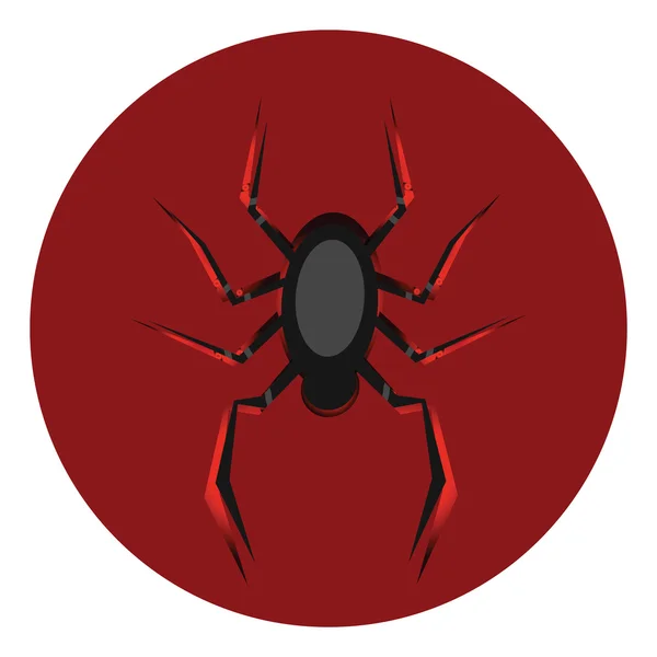 Illustration of black spider — Stock Vector