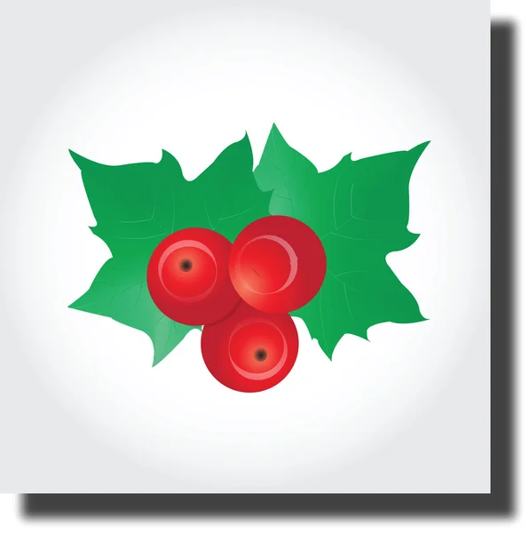 Christmas Flower holly berry — Stock Vector