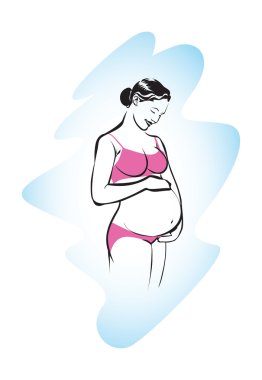 Gebelik vektör aşamaları