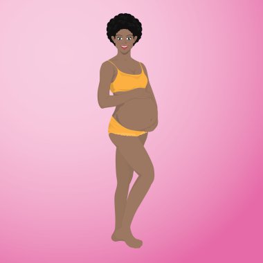 Gebelik vektör aşamaları