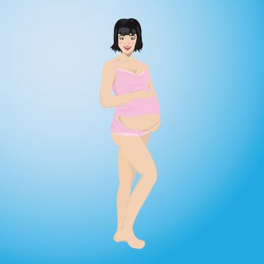 Gebelik vektör aşamaları