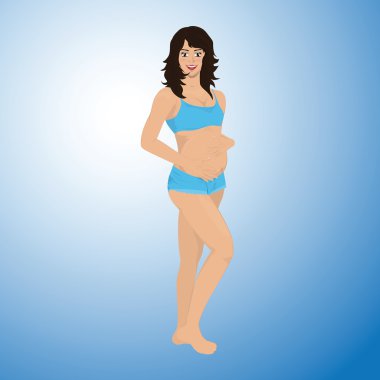 Gebelik vektör aşamaları