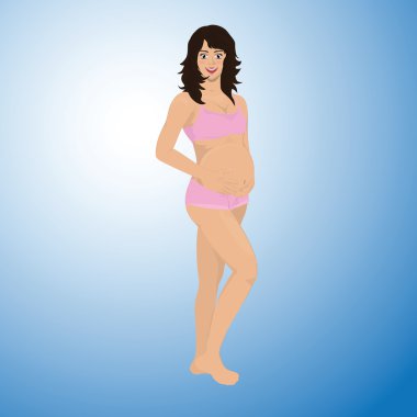 Gebelik vektör aşamaları