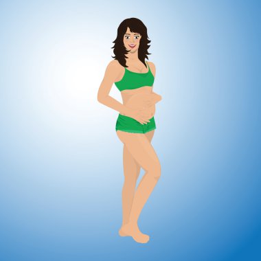 Gebelik vektör aşamaları