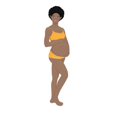 Gebelik vektör aşamaları