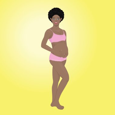 Gebelik vektör aşamaları