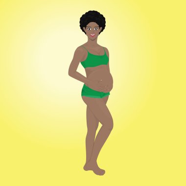 Gebelik vektör aşamaları