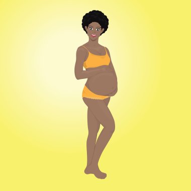 Gebelik vektör aşamaları