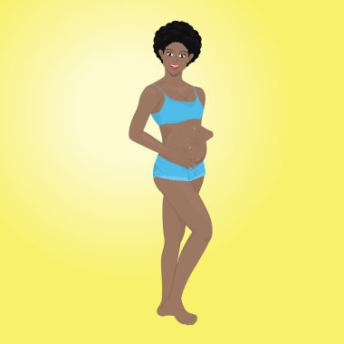 Gebelik vektör aşamaları