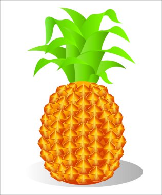 bir ananas çizimi.