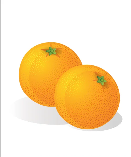 Illustration of two oranges. — Stock Vector