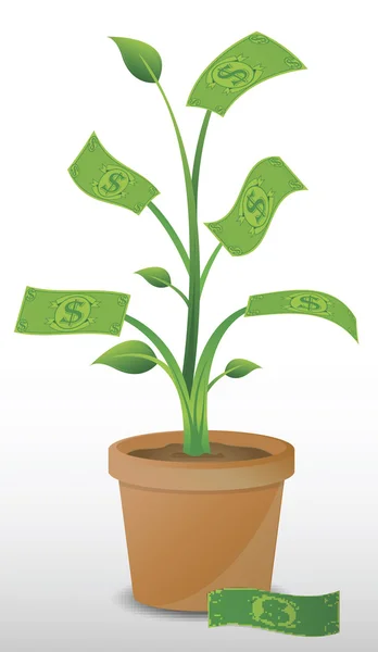 Vector image of a money plant. — Stock Vector