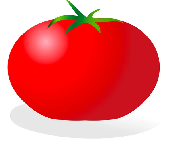 Ilustración de tomate . — Vector de stock