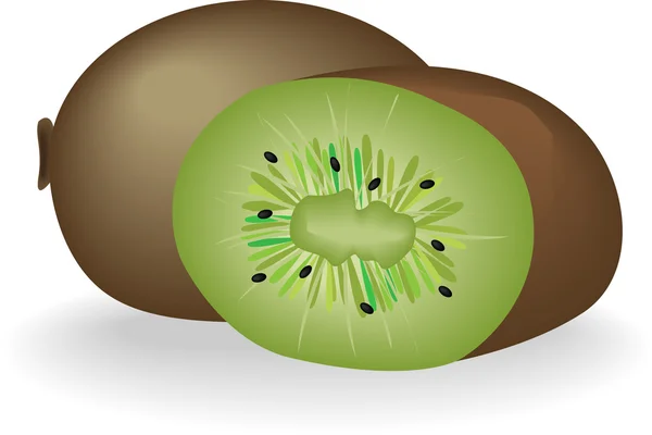 Ilustración de kiwi . — Archivo Imágenes Vectoriales