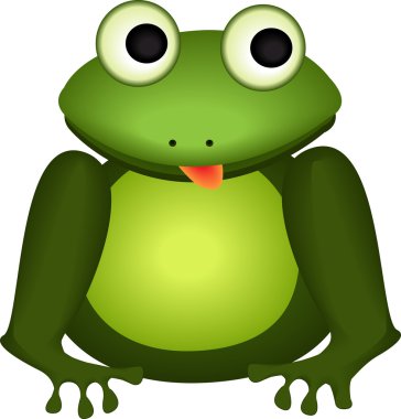 Bir kurbağanın vektör görüntüsü.