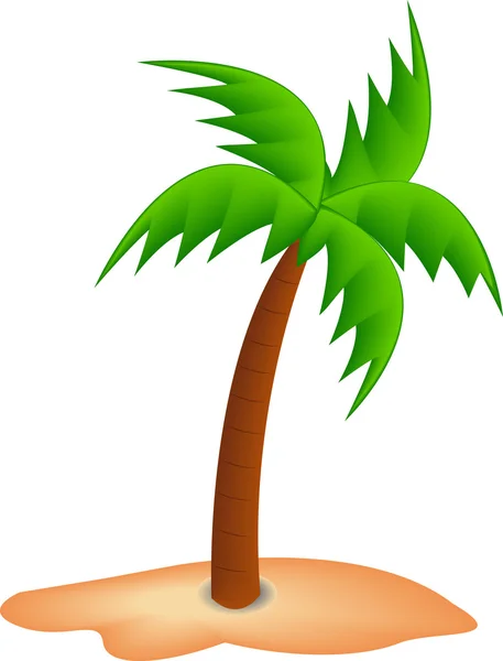 Ilustración de una palmera . — Archivo Imágenes Vectoriales