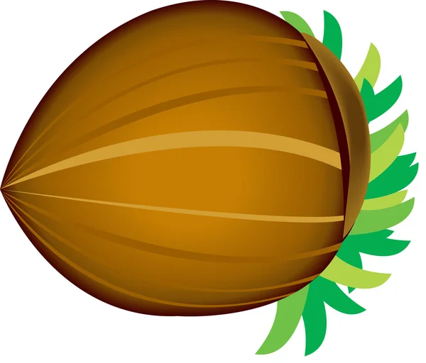 Imagen vectorial de nueces . — Vector de stock