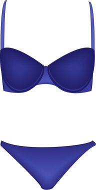 kadın iç çamaşırı vektör görüntü.