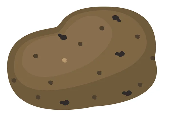 Ilustrace brambor. — Stockový vektor