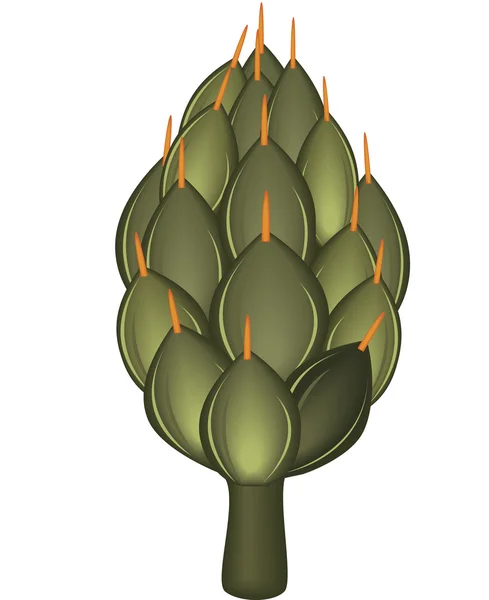 Illustration d'un artichaut . — Image vectorielle